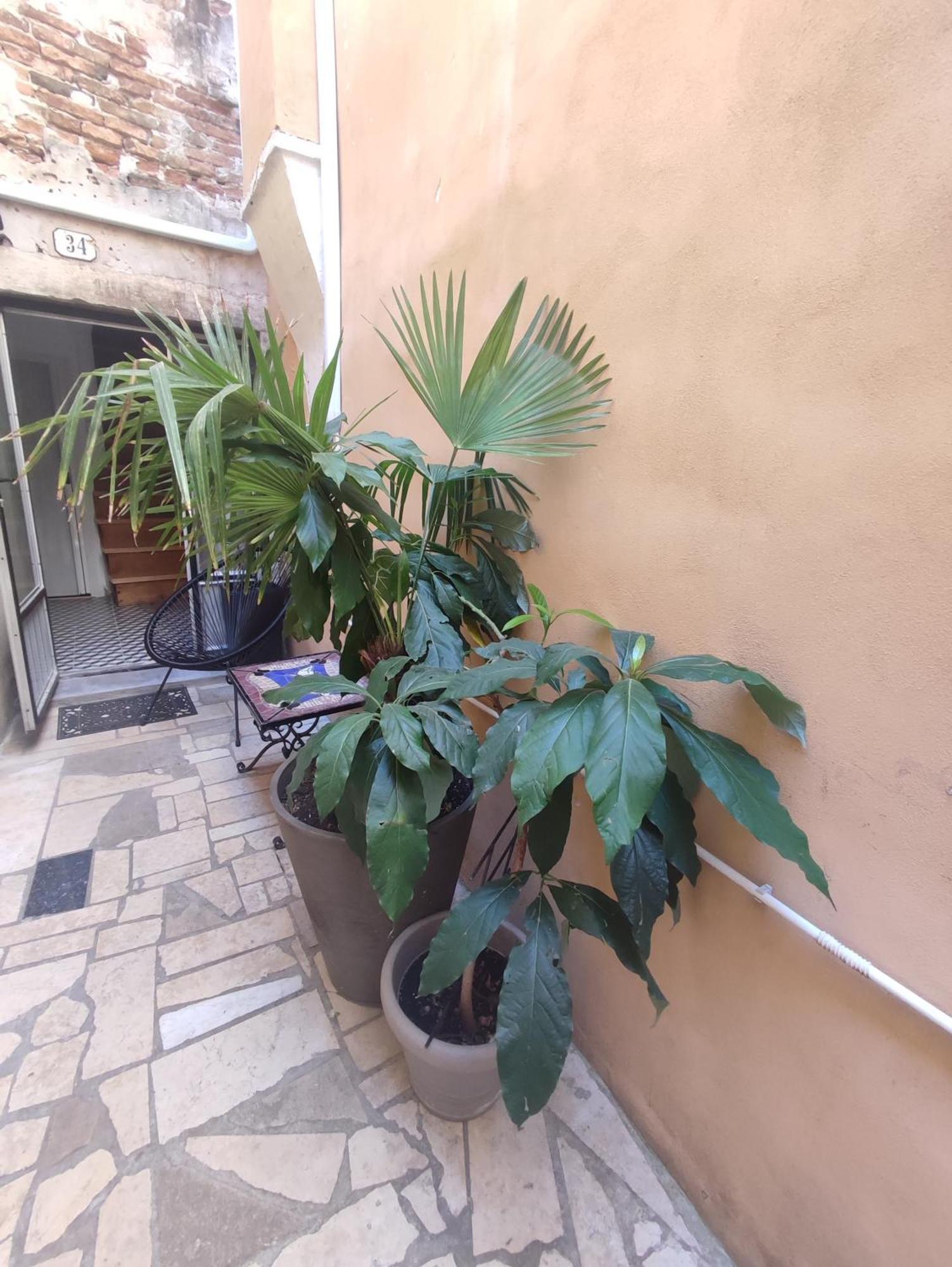Barka Apartamento