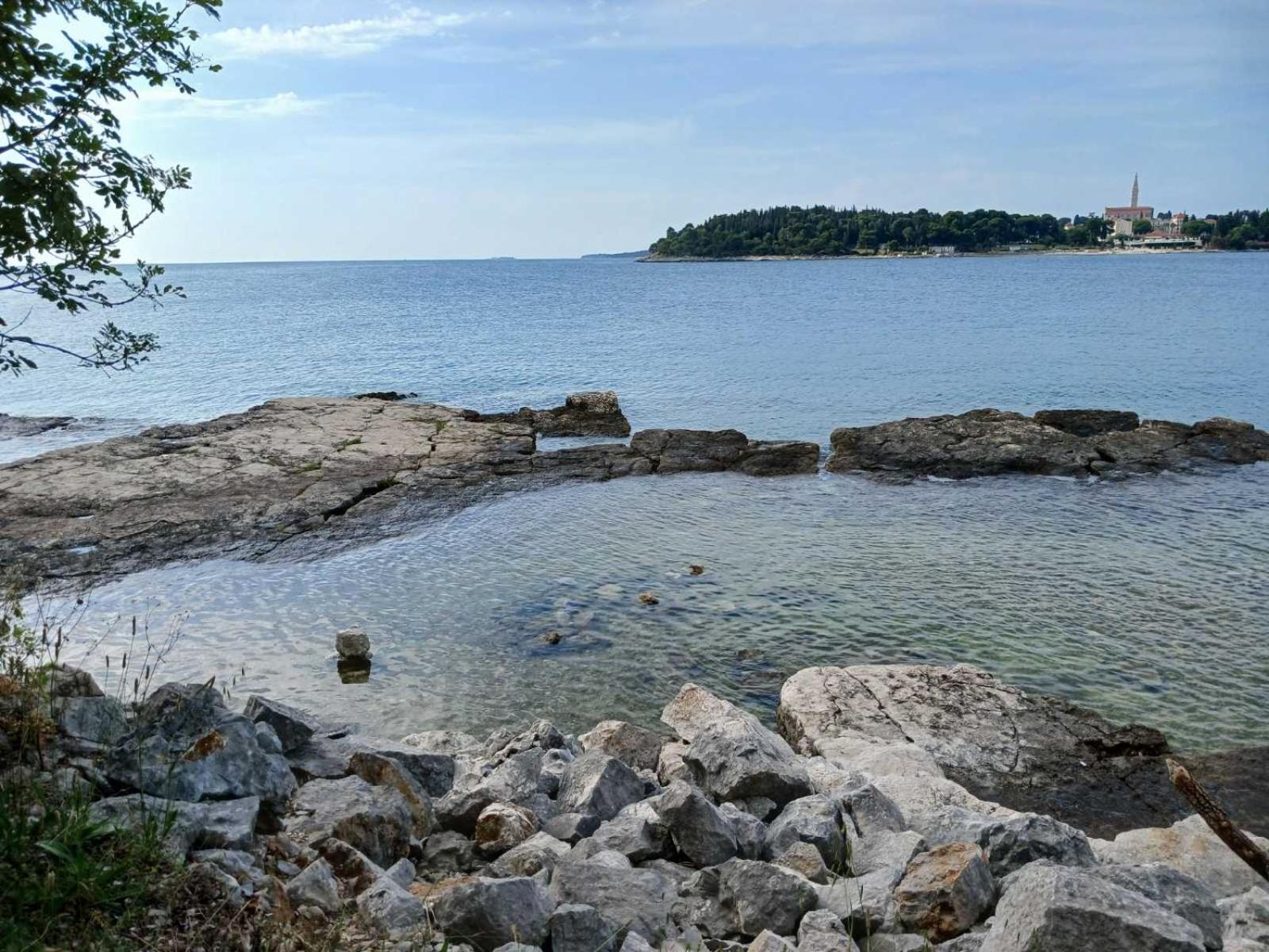 Barka Rovinj
